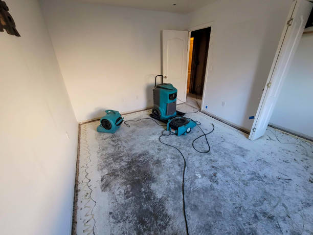 Best Water damage restoration near me  in Harlan, KY