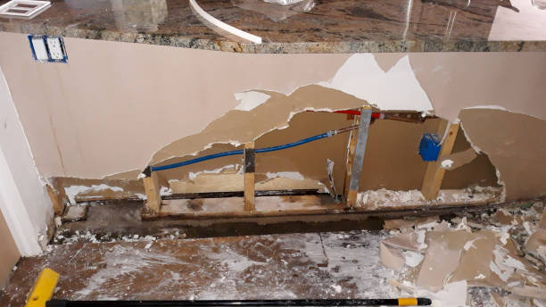 Best Professional water damage repair  in Harlan, KY