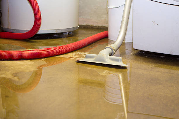 Best Water damage contractors near me  in Harlan, KY