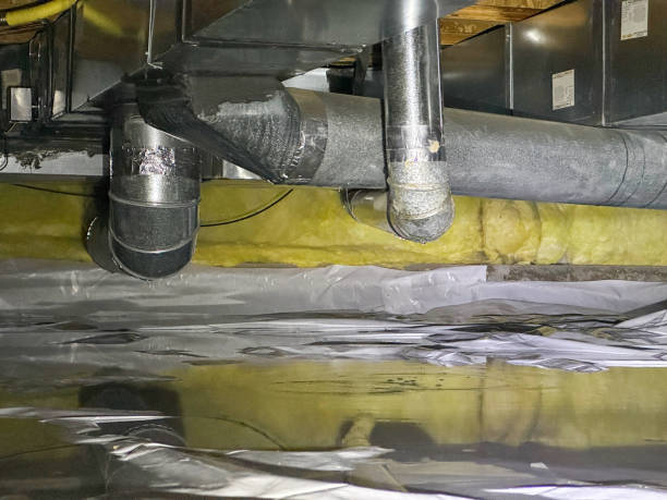 Best Water damage restoration services  in Harlan, KY