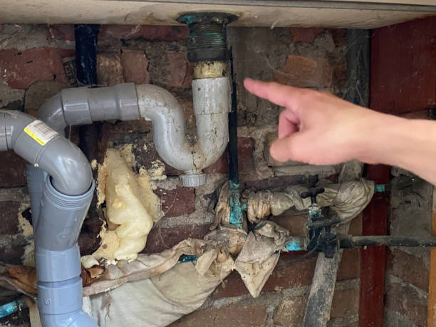 Best Local water damage restoration  in Harlan, KY