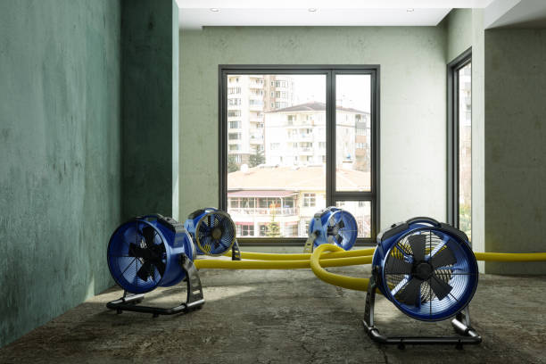 Best Water damage mitigation services  in Harlan, KY